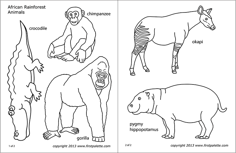 African jungle or rainforest animals free printable templates coloring pages