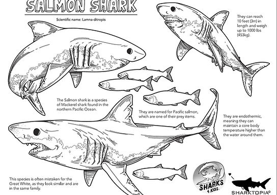 Shark education coloring sheets