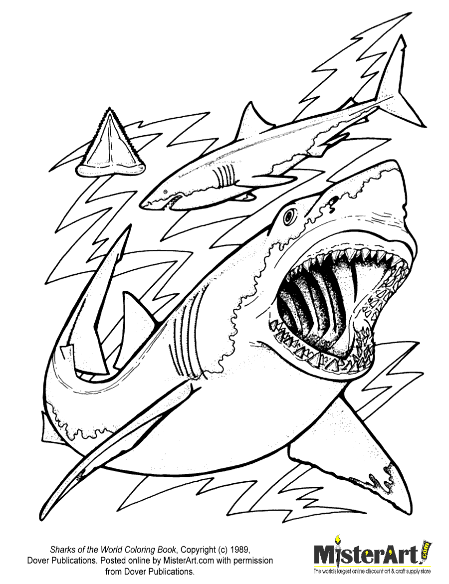 Free coloring page sharks of the world coloring book download free crafts for kids dover coloring books