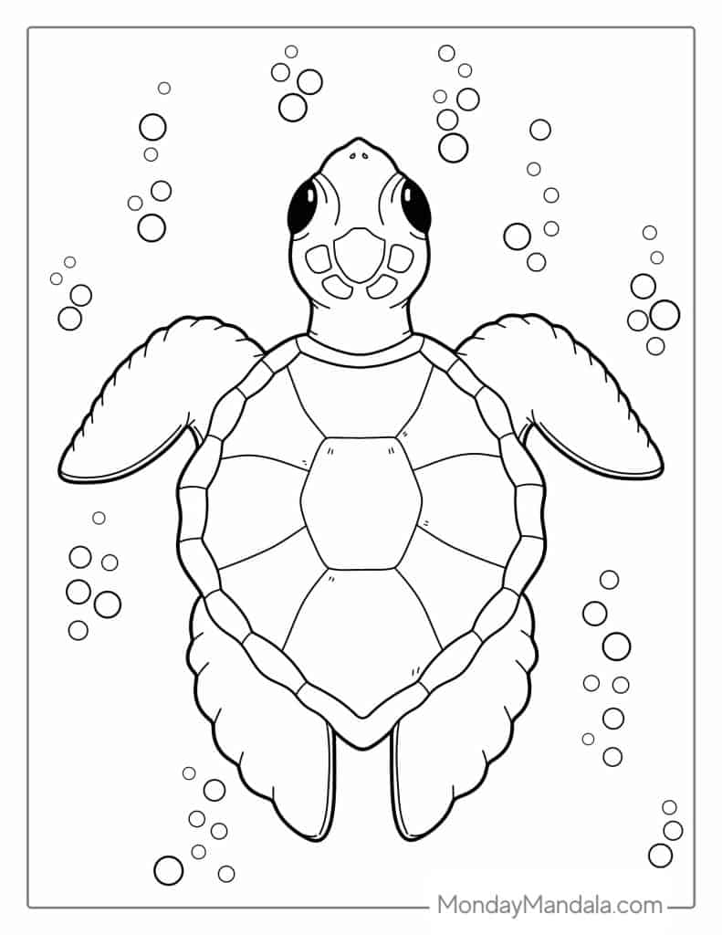 Turtle coloring pages free pdf printables