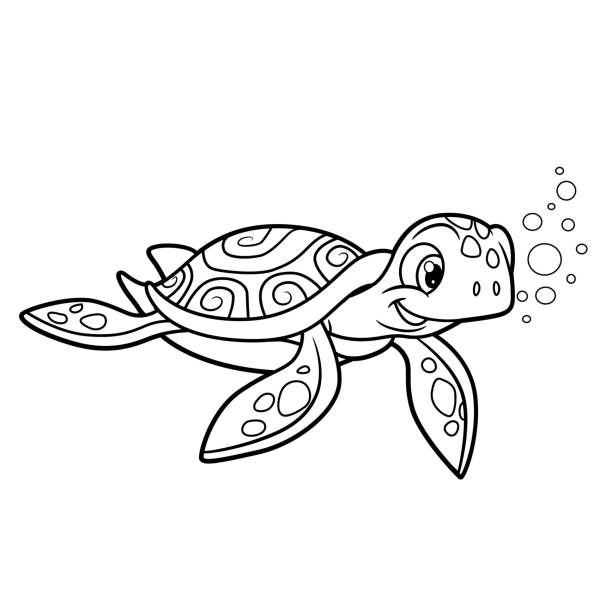 Cartoon turtle coloring pages stock illustrations royalty