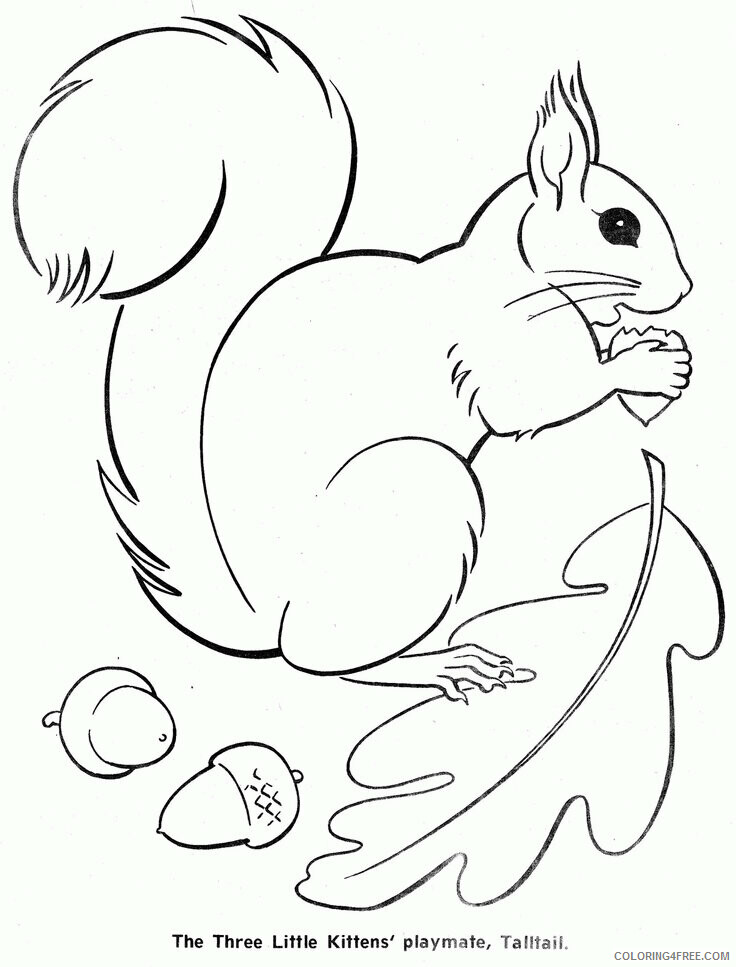 Coloring pages squirrel coloring sheets animal coloring pages printable