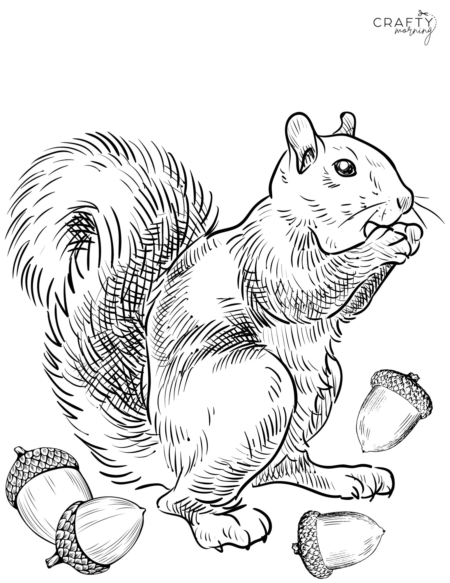 Squirrel coloring pages to print