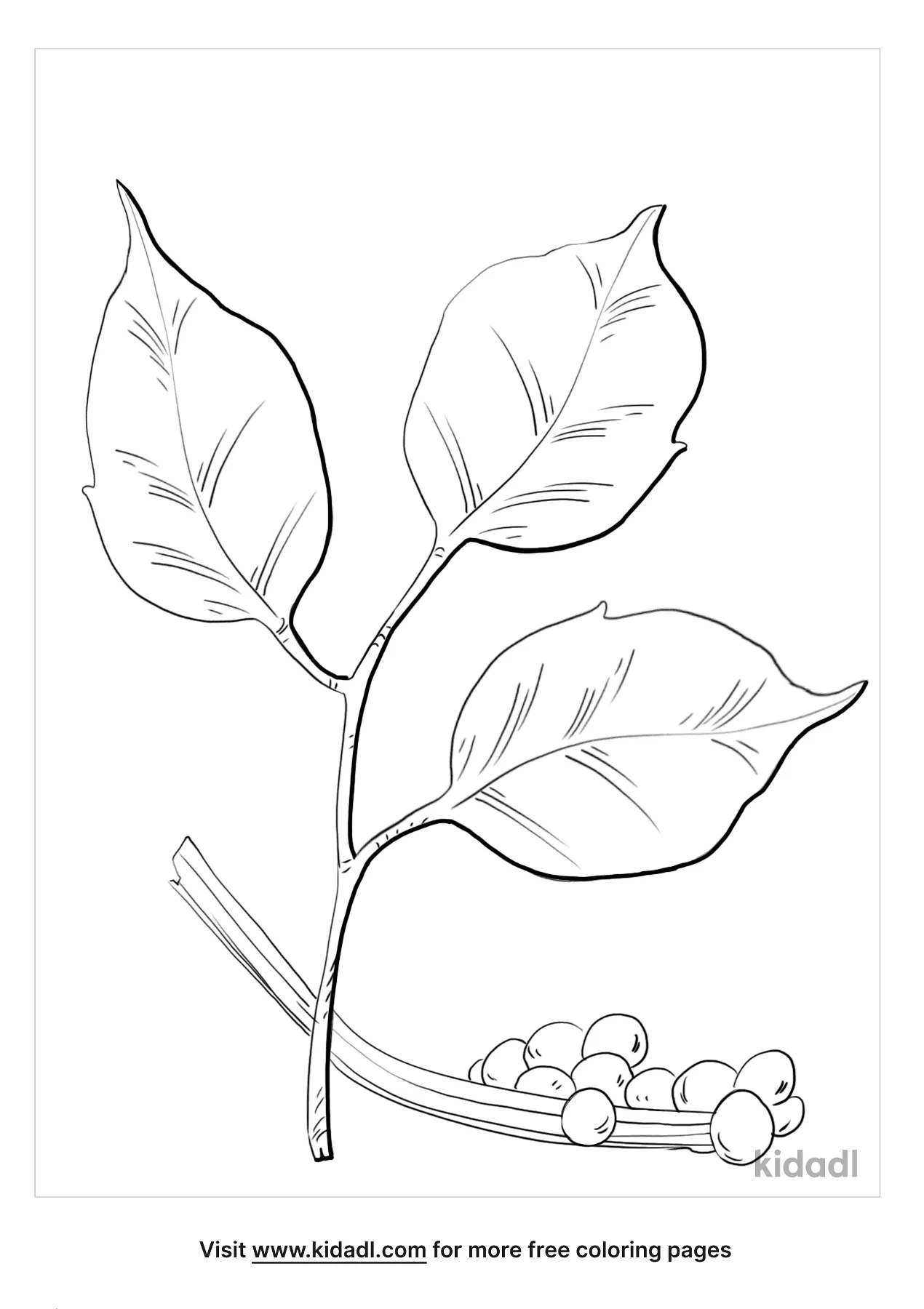 Free poison ivy coloring page coloring page printables