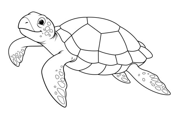 Sea turtle cartoon animal illustration bw stock illustration