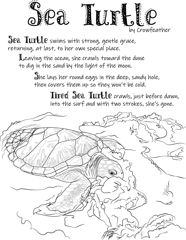 Sea turtle coloring page â frisco native american museum