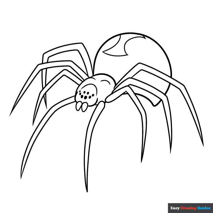 Black widow spider coloring page easy drawing guides