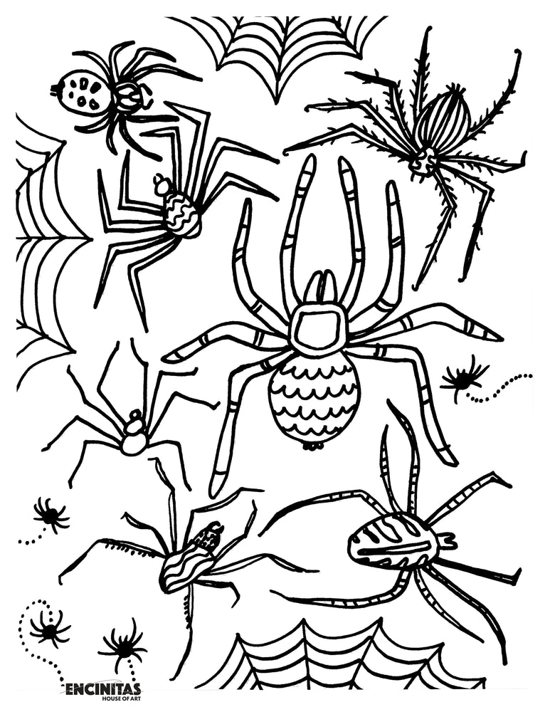 Creepy spiders coloring page â encinitas house of art