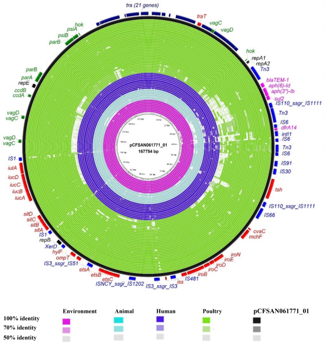 Pathogenome parison and global phylogeny of escherichia coli st strains scientific reports