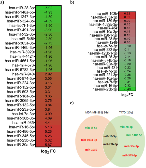 Differential mirnas expression pattern of irradiated breast cancer cell lines is correlated with radiation sensitivity scientific reports