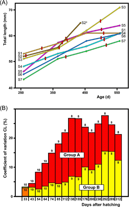 Stochastic developmental variation an epigenetic source of phenotypic diversity with far
