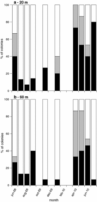Reproductive cycle and trophic ecology in deep versus shallow populations of the mediterranean gorgonian eunicella singularis cap de creus northwestern mediterranean sea