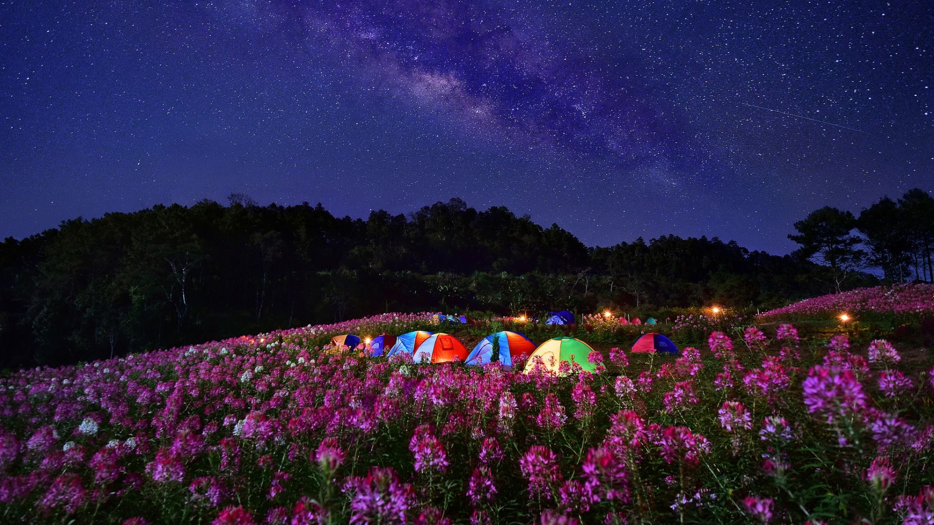 Camping x stars at night background landscape