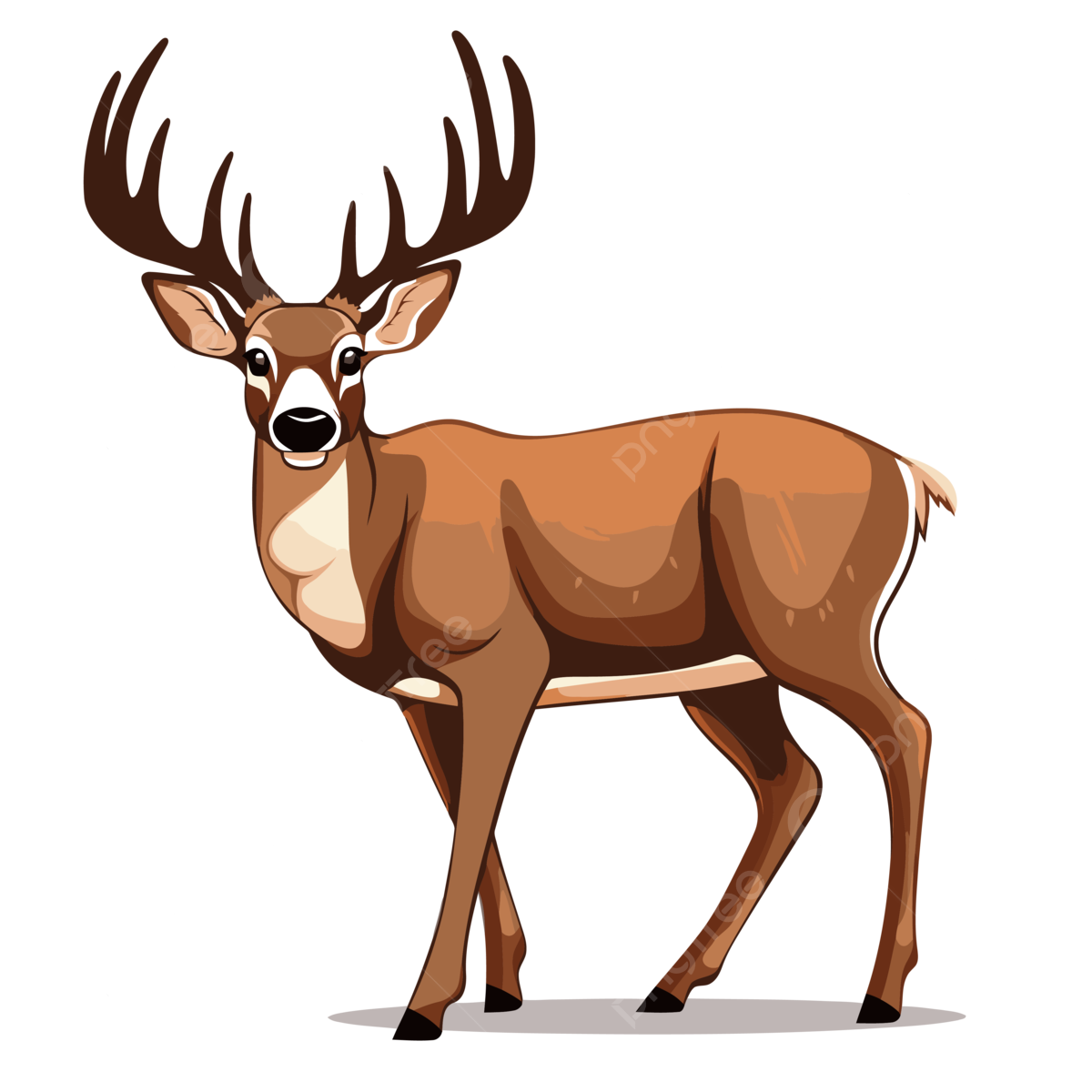 Buck png transparent images free download vector files