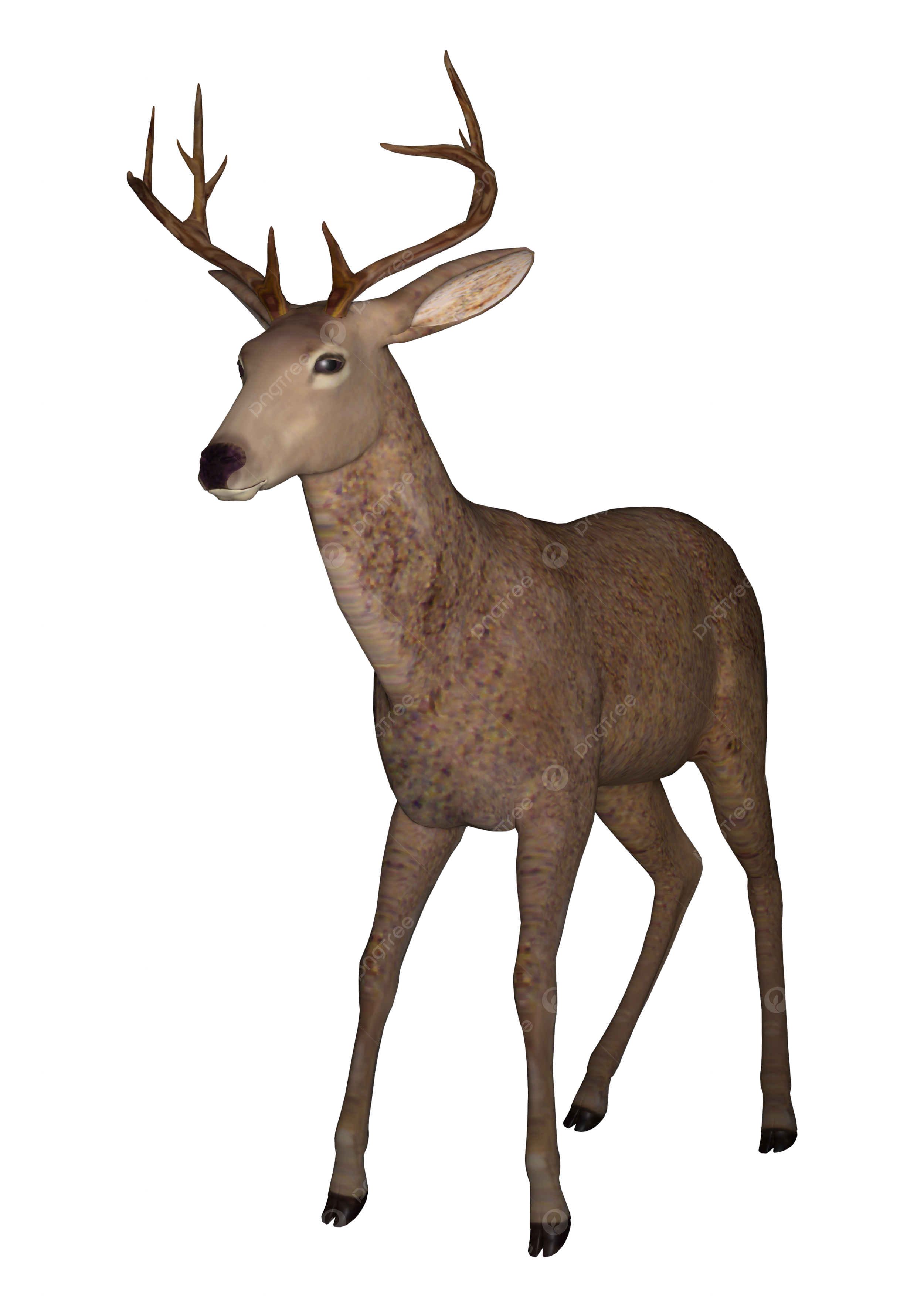 Buck png vector psd and clipart with transparent background for free download