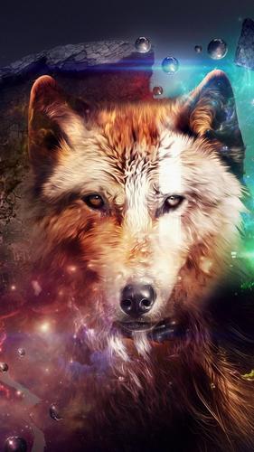 Wolf wallpaper k ultra hd apk for android download