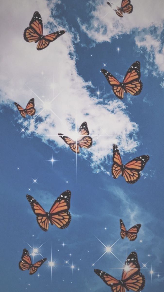 Download Free 100 + Aesthetic Butterfly Wallpapers