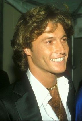 Best andy gibb ideas andy gibb andy bee gees