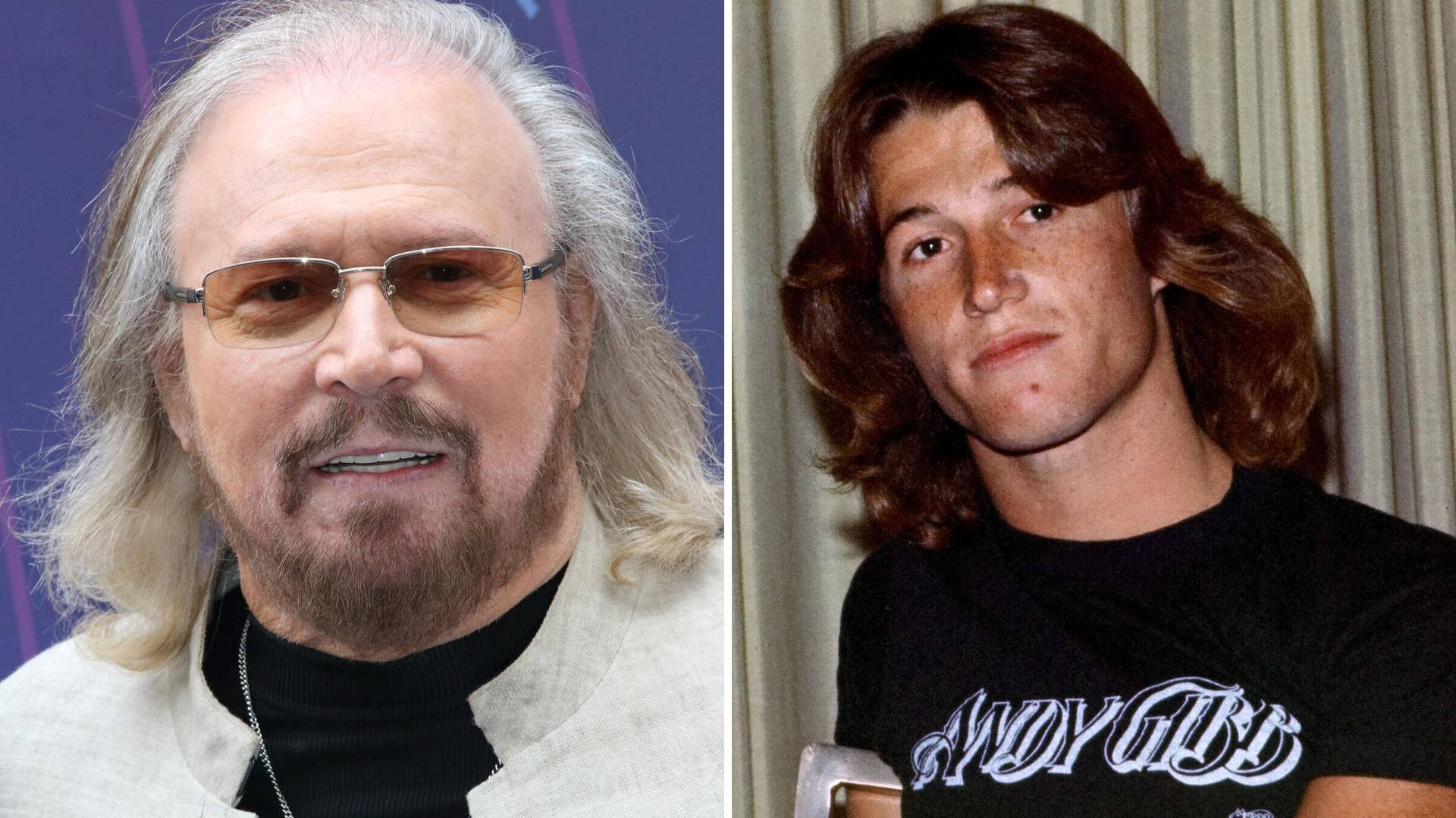 Bee gees member barry gibb and wife linda claim to have seen ghosts of robin and andy