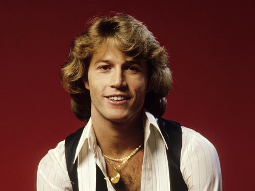 Andy gibb