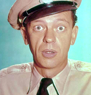 The andy griffith show images icons wallpapers and photos on