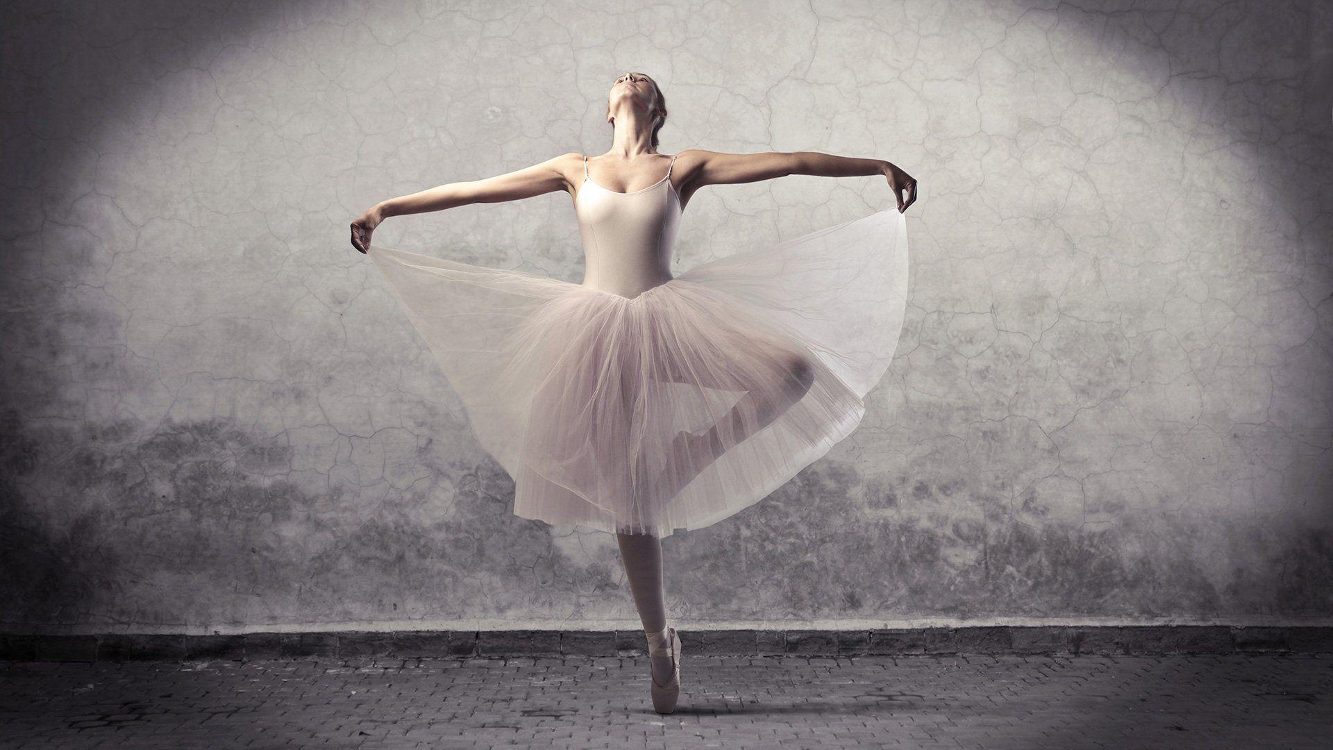 Ballerina Fabric, Wallpaper and Home Decor