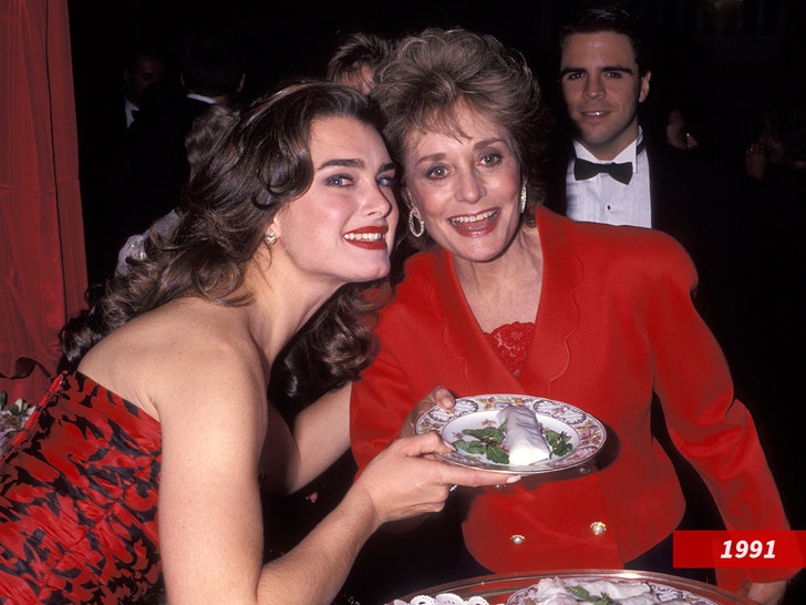 Brooke shields says barbara walters interview was inappropriate