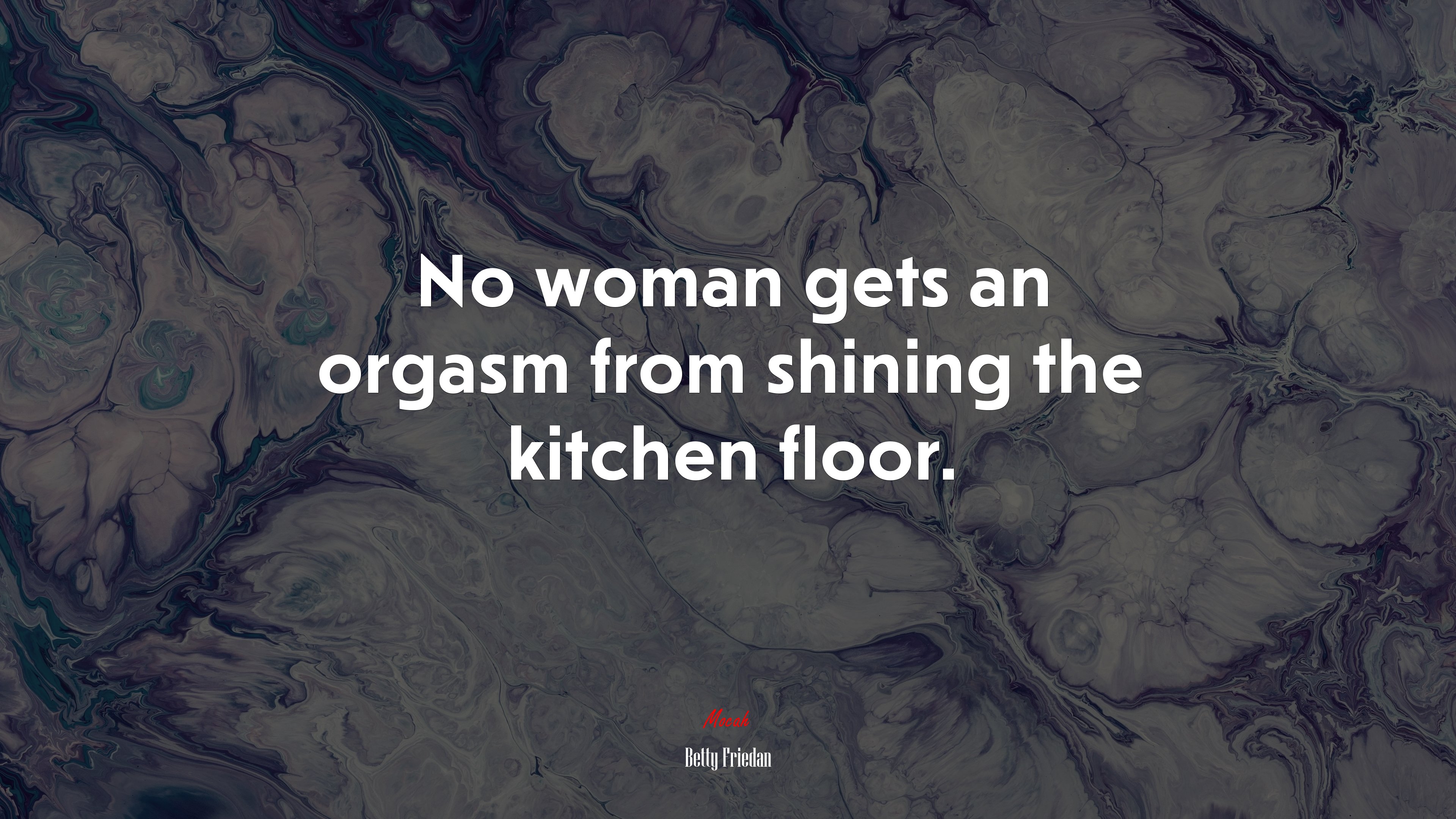 No woman gets an orgasm from shining the kitchen floor betty friedan quote