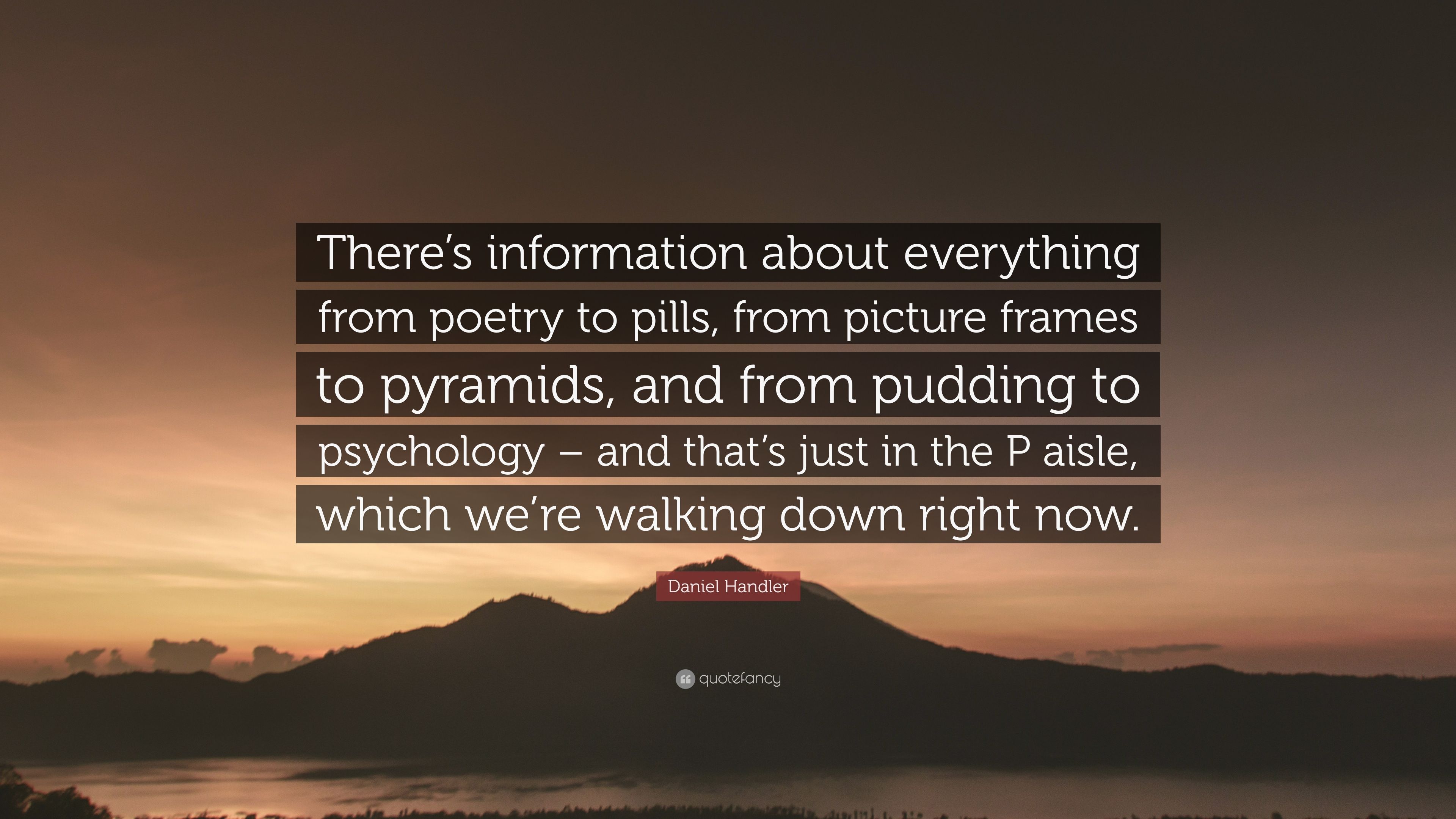 Daniel handler quote âtheres information about everything from poetry to pills from picture frames to pyramids and from pudding to psycholoâ