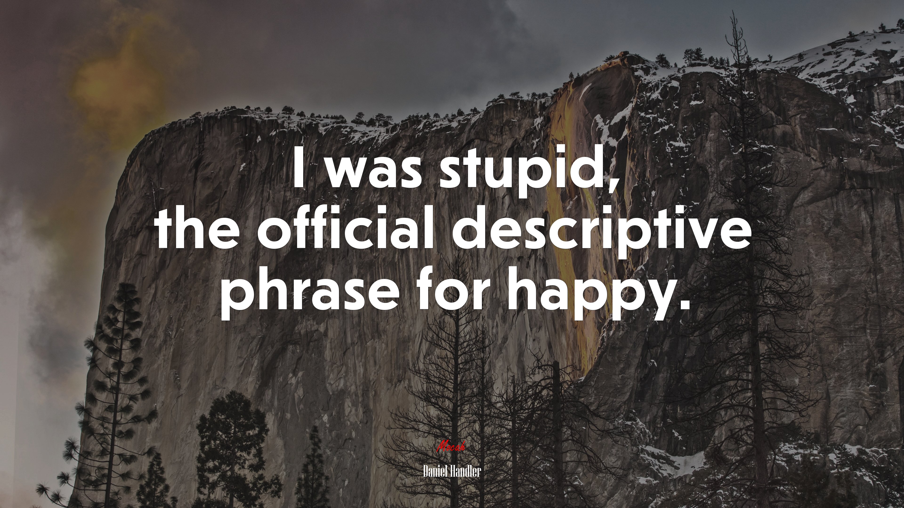 I was stupid the official descriptive phrase for happy daniel handler quote