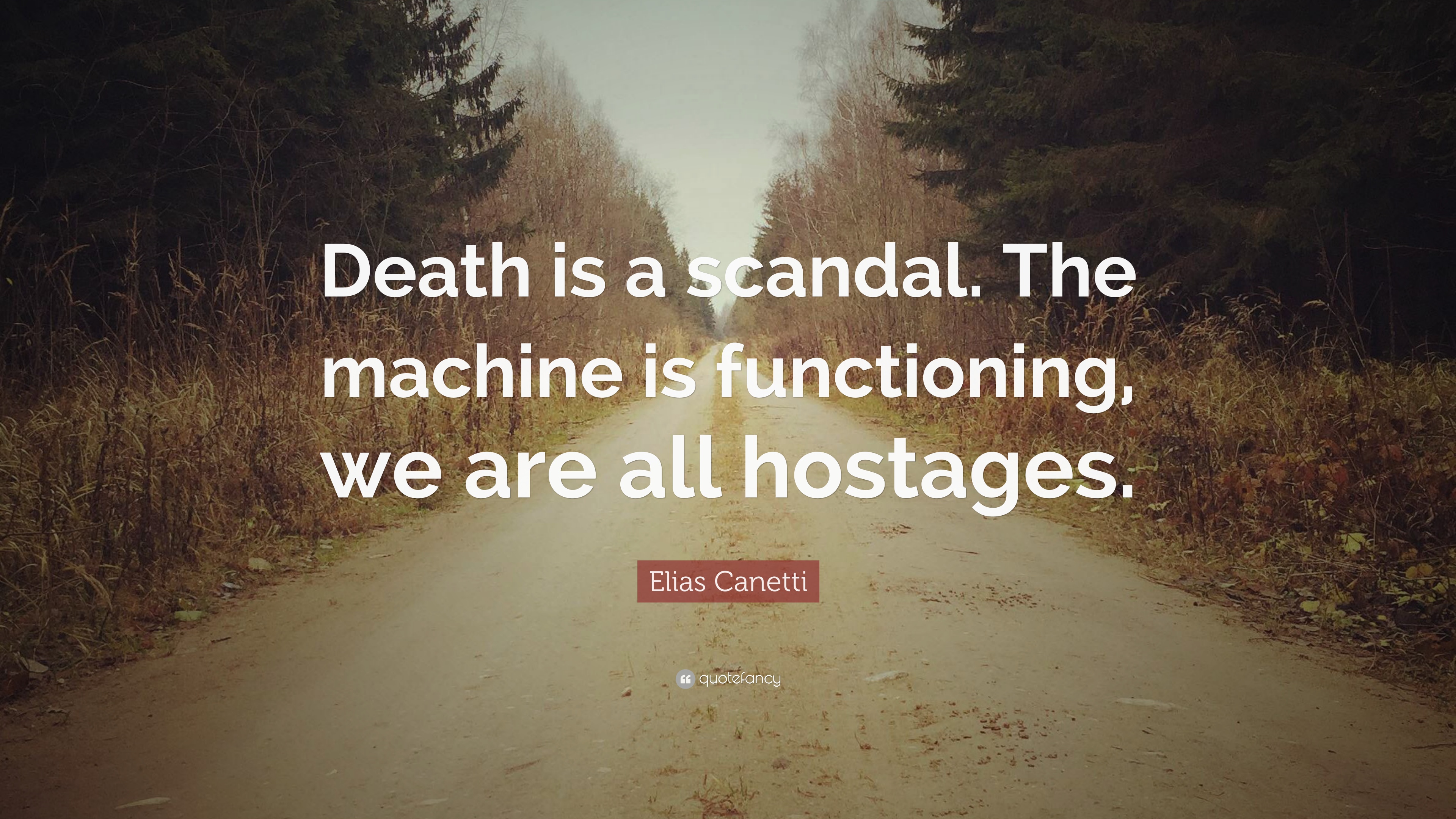 Elias canetti quote âdeath is a scandal the machine is functioning we are all hostagesâ