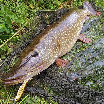 Pike lures will cooper fishing