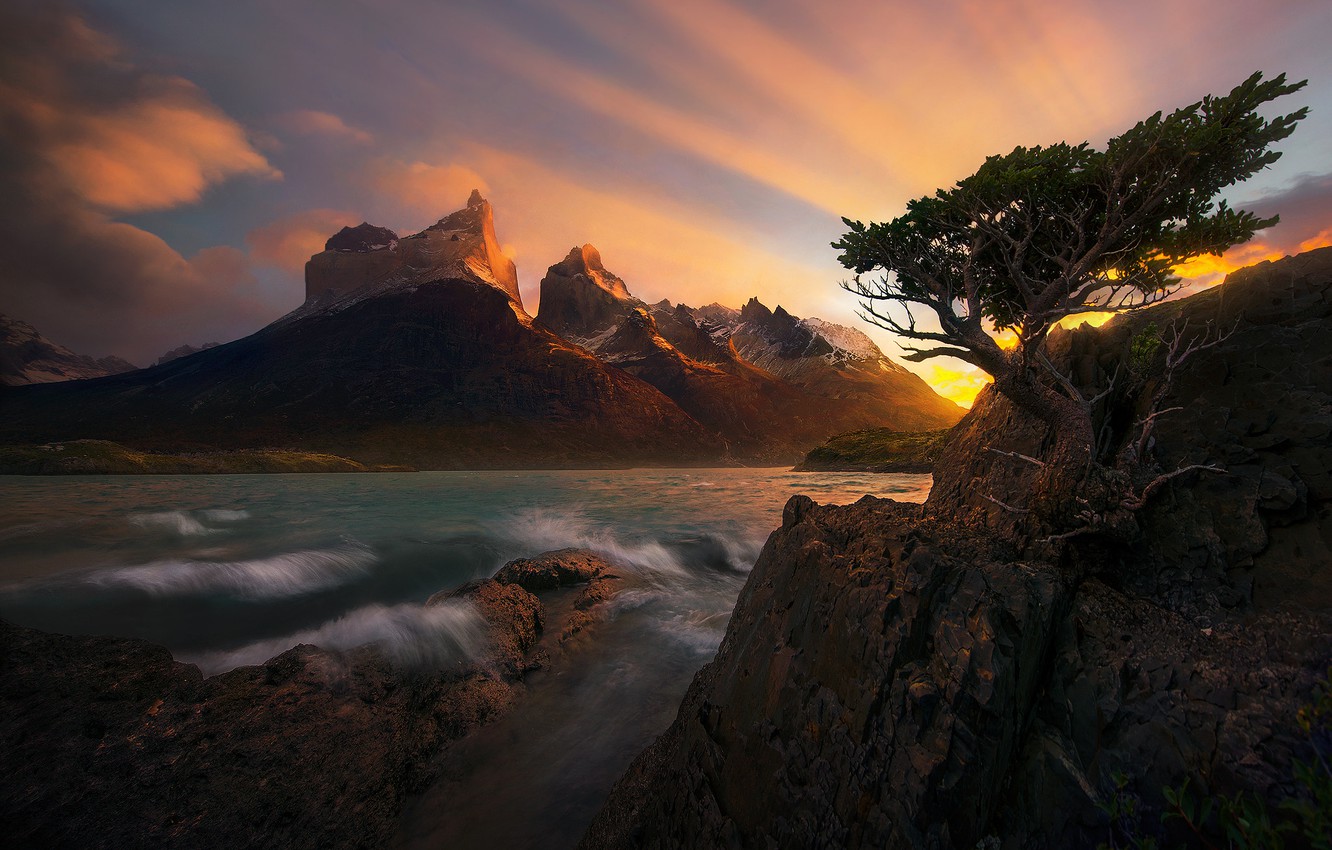 Wallpaper sea landscape sunset nature tree rocks pine the fjord patagonia marc adamus images for desktop section ððµðð