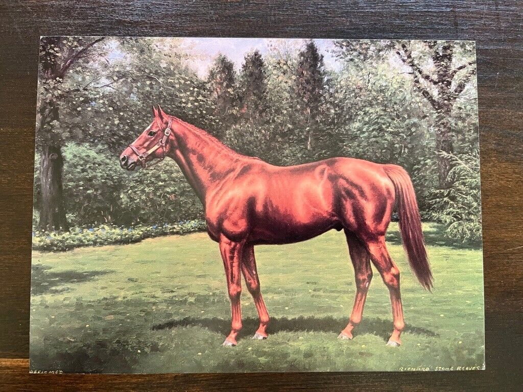 Affirmed horse postcard richard stone reeves framable art print x