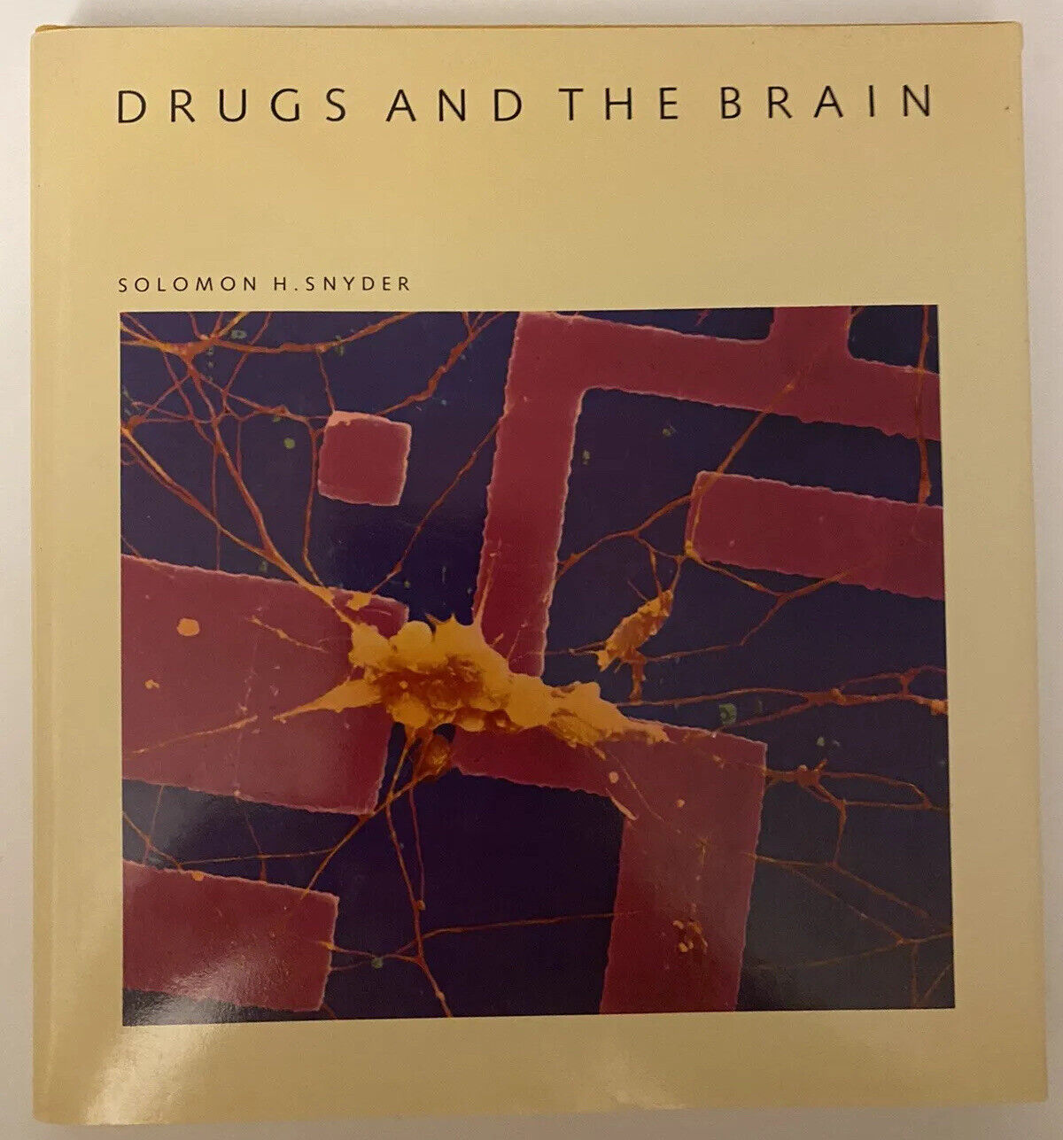 Drugs and the brain scientific american library by solomon h