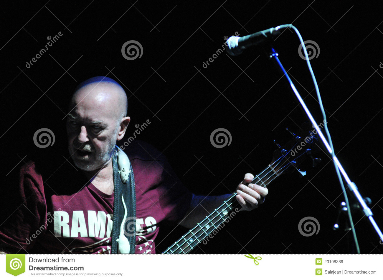 Bass player live editorial stock image image of nazareth