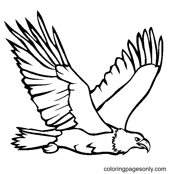 Eagle coloring pages printable for free download