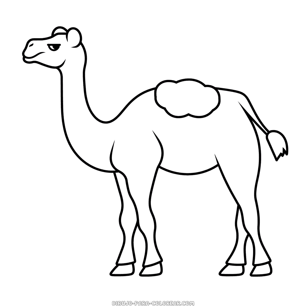 Dibujo de camello para colorear dibujo para colorear