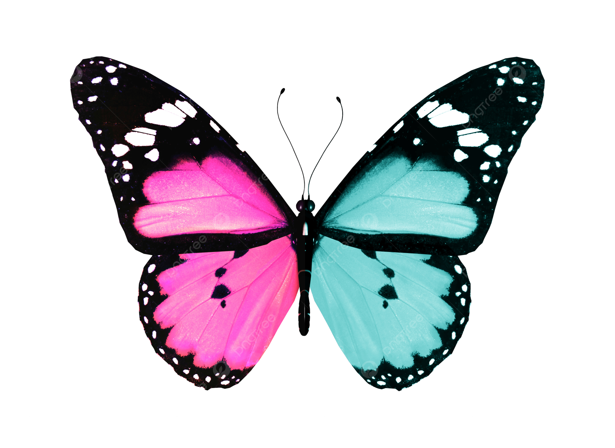 Butterfly heart png transparent images free download vector files