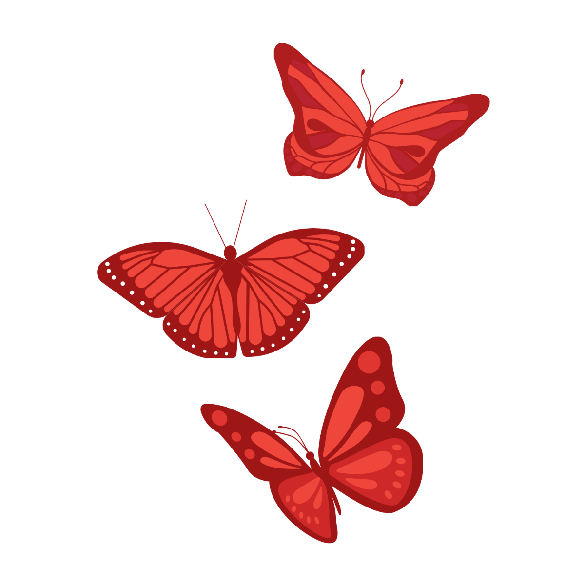 Free butterfly vector
