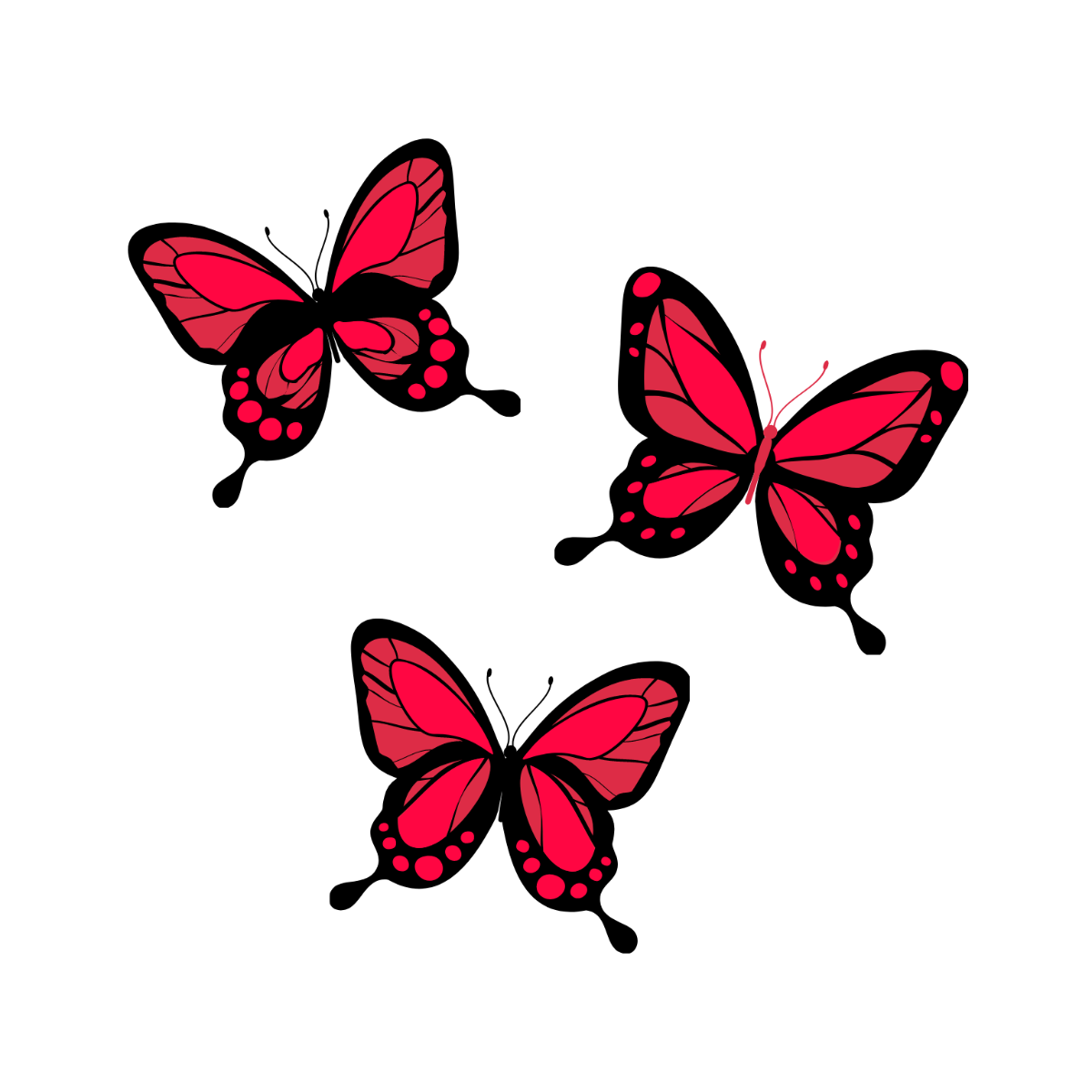 Free butterfly vector