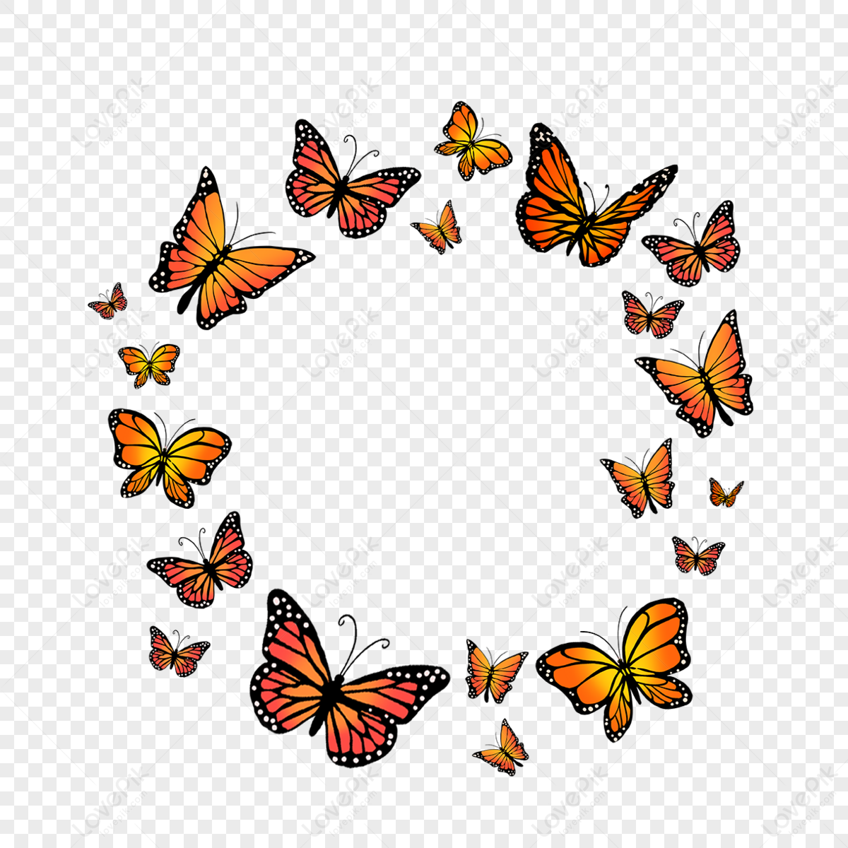 Flower butterfly png images with transparent background free download on