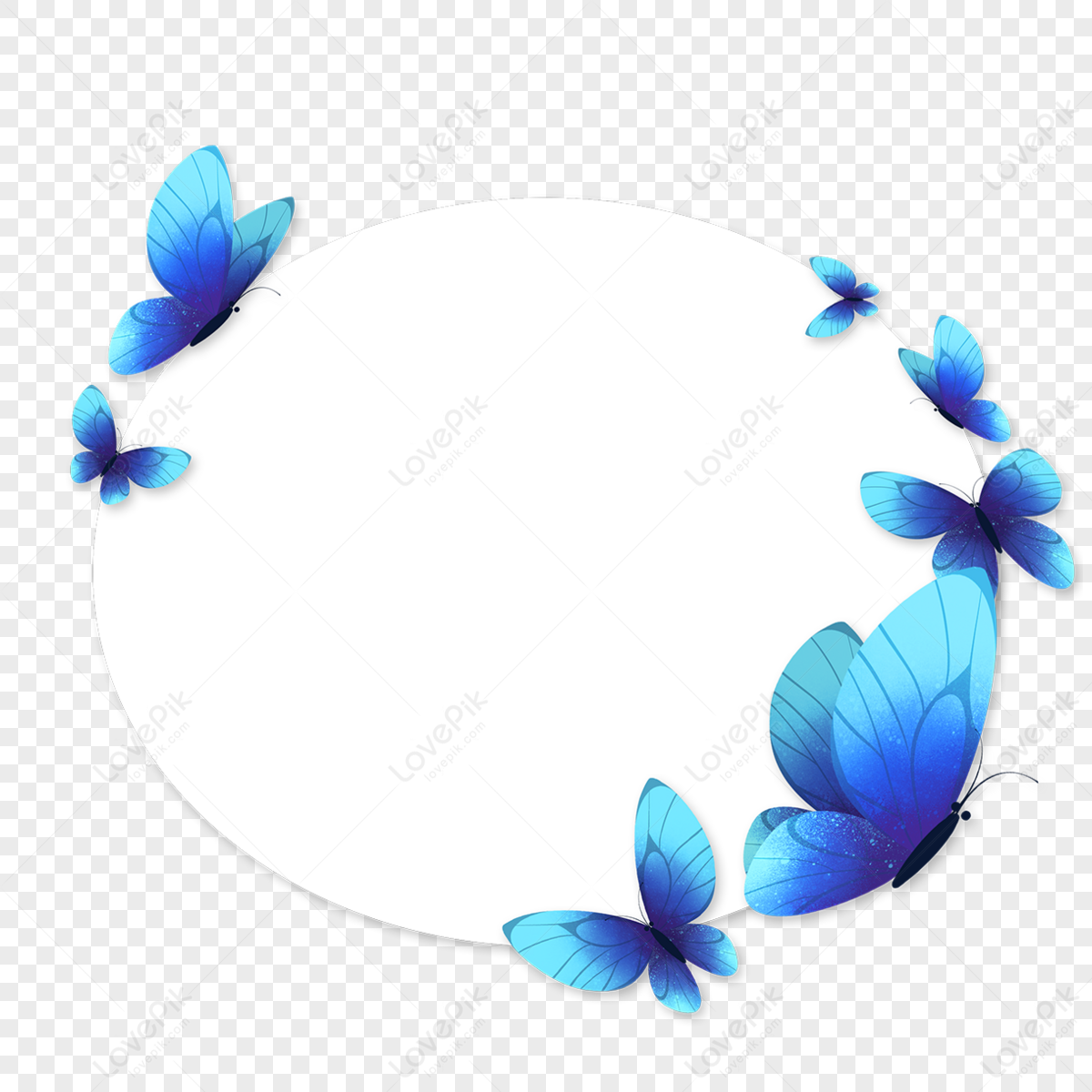 Blue butterfly images hd pictures for free vectors download