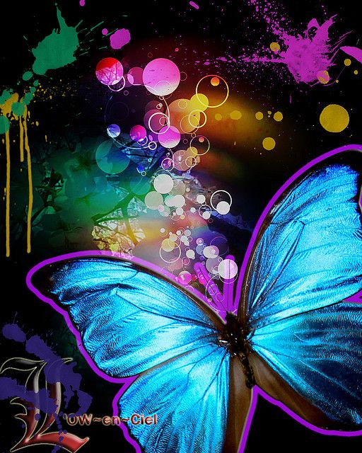 Abstract butterfly watermark butterfly wallpaper cellphone wallpaper butterfly wallpaper backgrounds