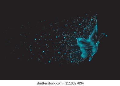 Butterfly abstract isolated on black background stock vector royalty free