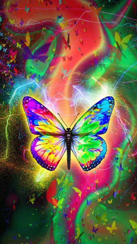 Cogulcolorful mystical butterflywallpaper