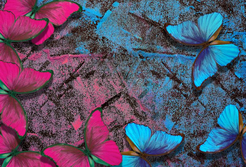 Blue and pink abstract background bright morpho butterflies on blue and pink pastel background stock image