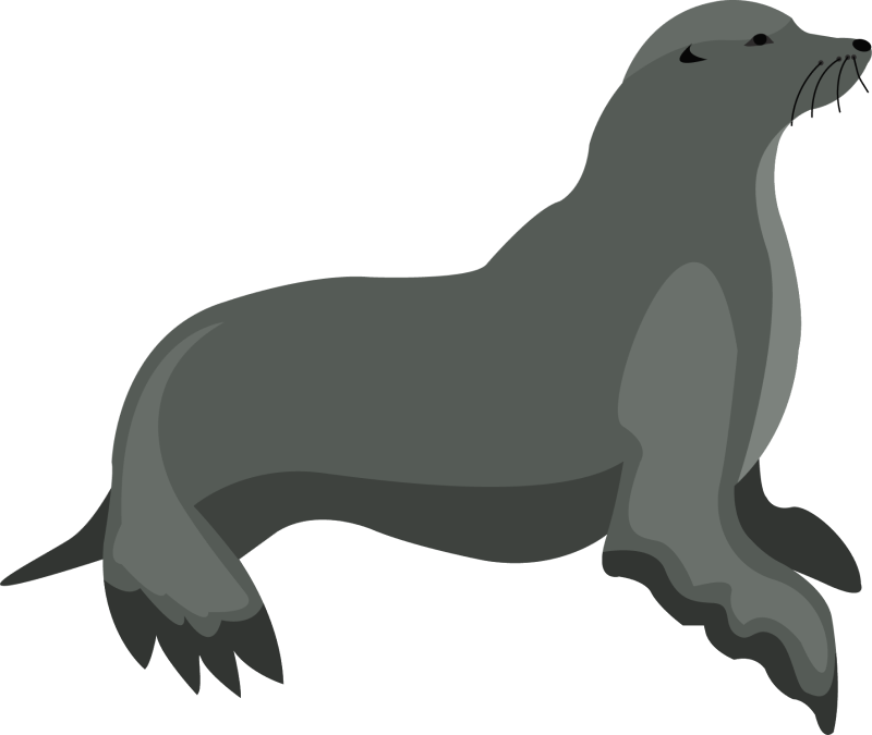 Seal clipart free download