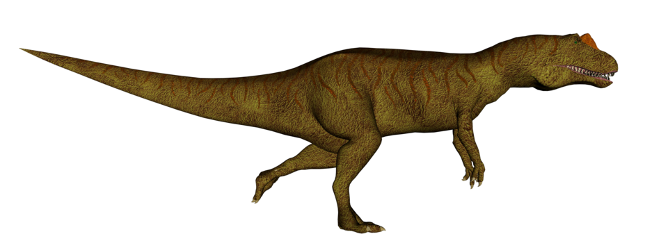 Allosaurus png transparent images free download vector files