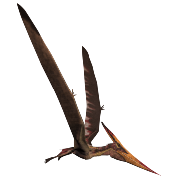 Pteranodon png transparent images free download vector files